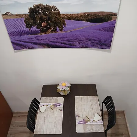 Apartment Casa Cencioni *